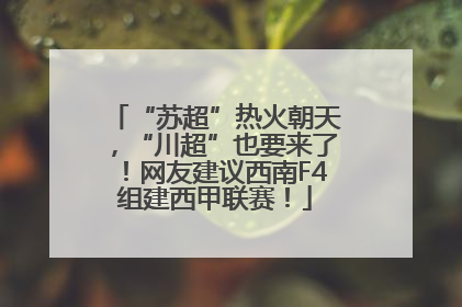 “苏超”热火朝天，“川超”也要来了！网友建议西南F4组建西甲联赛！