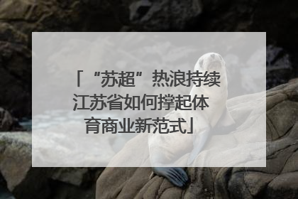 “苏超”热浪持续 江苏省如何撑起体育商业新范式