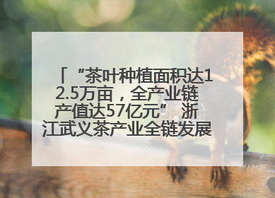 “茶叶种植面积达12.5万亩，全产业链产值达57亿元” 浙江武义茶产业全链发展“加速度”