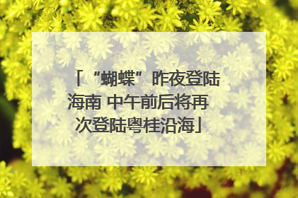 “蝴蝶”昨夜登陆海南 中午前后将再次登陆粤桂沿海