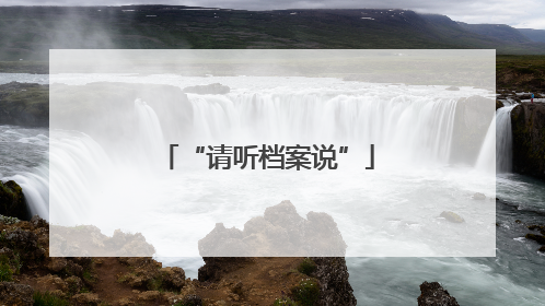 “请听档案说”