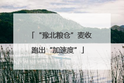 “豫北粮仓”麦收跑出“加速度”