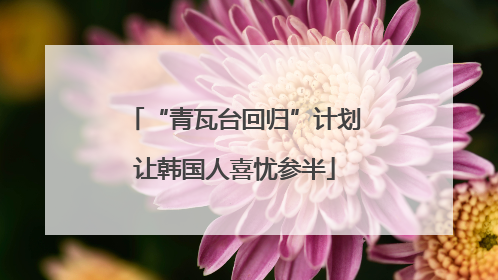 “青瓦台回归”计划让韩国人喜忧参半
