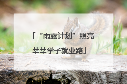 “雨露计划”照亮莘莘学子就业路