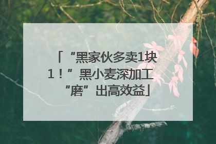 “黑家伙多卖1块1！”黑小麦深加工“磨”出高效益