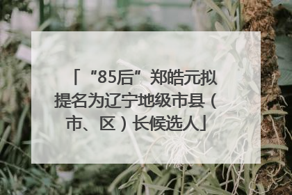 “85后”郑皓元拟提名为辽宁地级市县（市、区）长候选人
