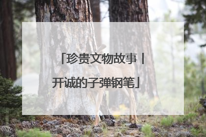 珍贵文物故事丨开诚的子弹钢笔
