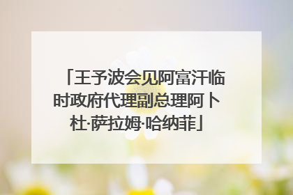 王予波会见阿富汗临时政府代理副总理阿卜杜·萨拉姆·哈纳菲