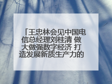 王忠林会见中国电信总经理刘桂清 做大做强数字经济 打造发展新质生产力的强劲引擎