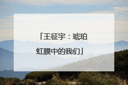 王征宇：琥珀虹膜中的我们