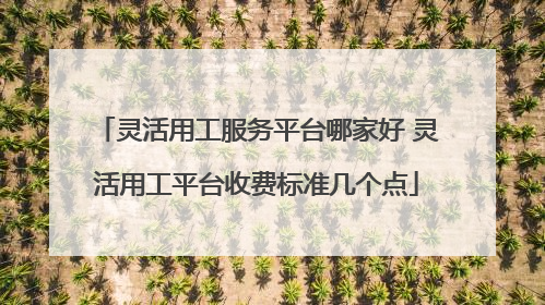 灵活用工服务平台哪家好 灵活用工平台收费标准几个点