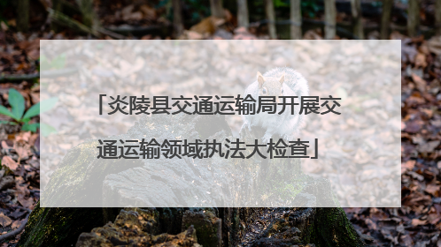 炎陵县交通运输局开展交通运输领域执法大检查