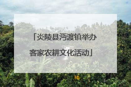 炎陵县沔渡镇举办客家农耕文化活动