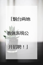 烟台两地教体系统公开招聘！