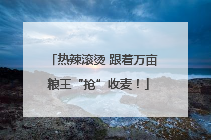 热辣滚烫 跟着万亩粮王“抢”收麦！