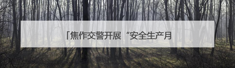 焦作交警开展“安全生产月”安全宣传咨询日主题活动