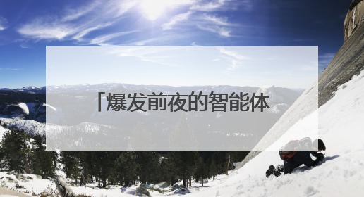 爆发前夜的智能体，落在中国算力的舒适区｜海斌访谈