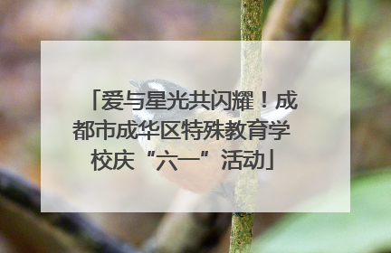 爱与星光共闪耀！成都市成华区特殊教育学校庆“六一”活动