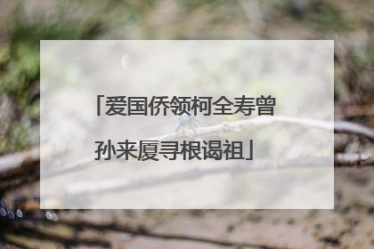 爱国侨领柯全寿曾孙来厦寻根谒祖