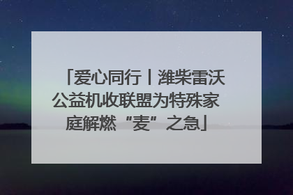 爱心同行丨潍柴雷沃公益机收联盟为特殊家庭解燃“麦”之急