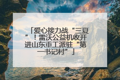 爱心接力战“三夏”！雷沃公益机收开进山东重工派驻“第一书记村”
