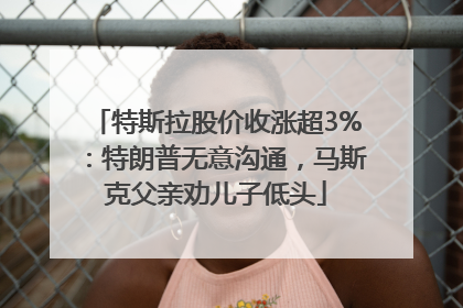特斯拉股价收涨超3%：特朗普无意沟通，马斯克父亲劝儿子低头