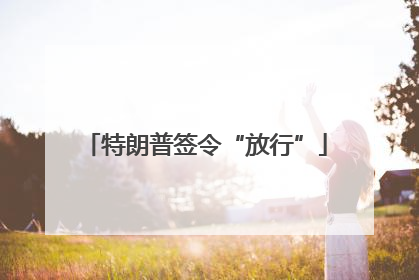 特朗普签令“放行”