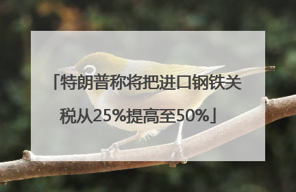特朗普称将把进口钢铁关税从25%提高至50%