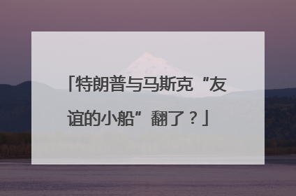 特朗普与马斯克“友谊的小船”翻了？