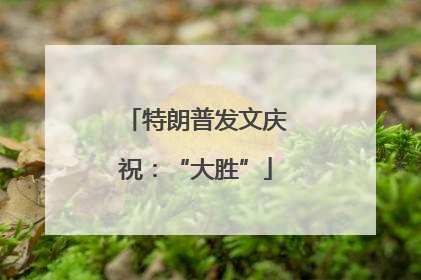 特朗普发文庆祝：“大胜”