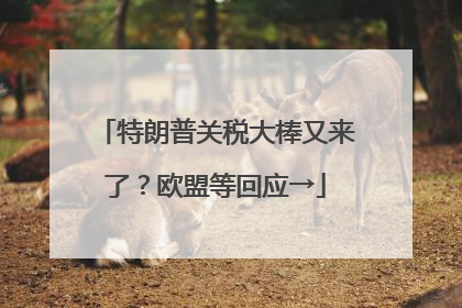 特朗普关税大棒又来了？欧盟等回应→