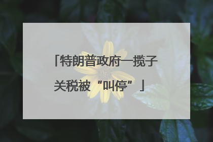 特朗普政府一揽子关税被“叫停”