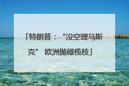 特朗普：“没空理马斯克” 欧洲抛橄榄枝