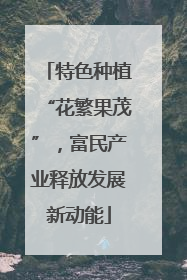 特色种植“花繁果茂”，富民产业释放发展新动能