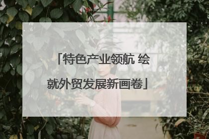 特色产业领航 绘就外贸发展新画卷