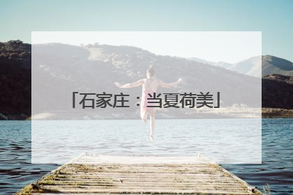 石家庄：当夏荷美