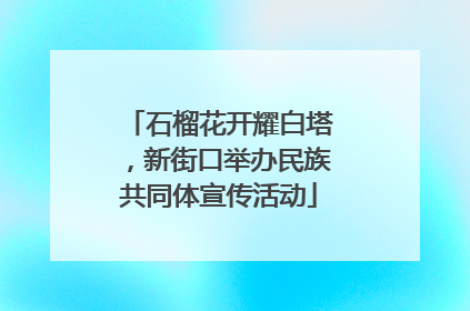 石榴花开耀白塔，新街口举办民族共同体宣传活动