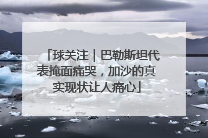 球关注｜巴勒斯坦代表掩面痛哭，加沙的真实现状让人痛心