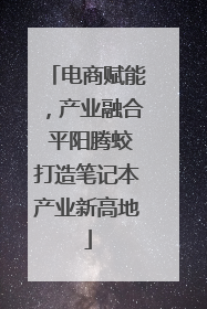 电商赋能，产业融合 平阳腾蛟打造笔记本产业新高地