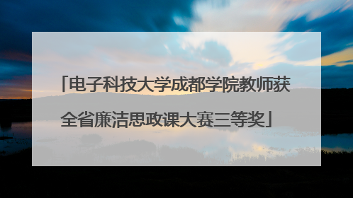 电子科技大学成都学院教师获全省廉洁思政课大赛三等奖