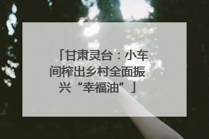 甘肃灵台：小车间榨出乡村全面振兴“幸福油”