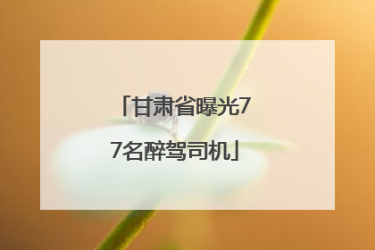 甘肃省曝光77名醉驾司机