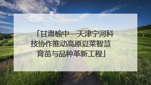 甘肃榆中—天津宁河科技协作推动高原夏菜智慧育苗与品种革新工程