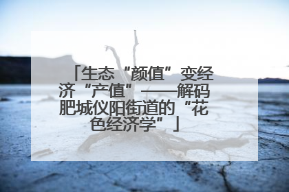 生态“颜值”变经济“产值”——解码肥城仪阳街道的“花色经济学”