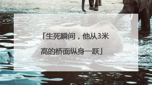 生死瞬间，他从3米高的桥面纵身一跃