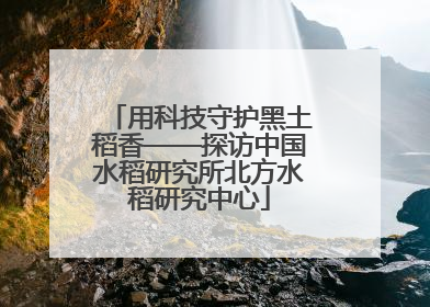 用科技守护黑土稻香——探访中国水稻研究所北方水稻研究中心
