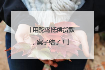 用鸵鸟抵偿货款，案子结了！