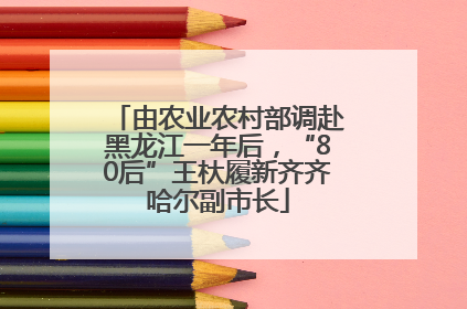 由农业农村部调赴黑龙江一年后，“80后”王杕履新齐齐哈尔副市长