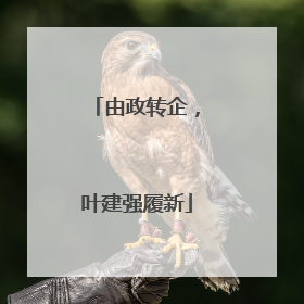 由政转企，叶建强履新