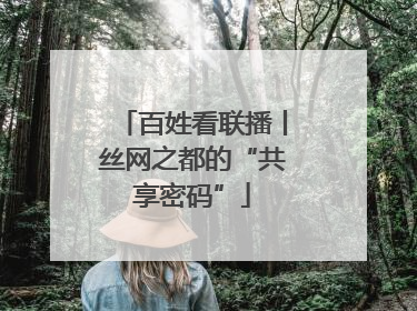 百姓看联播丨丝网之都的“共享密码”